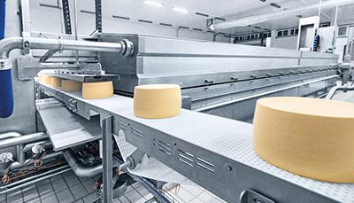 https://www.eset.com.pk/wp-content/uploads/2021/01/Cheese-Processing-Plant.jpg